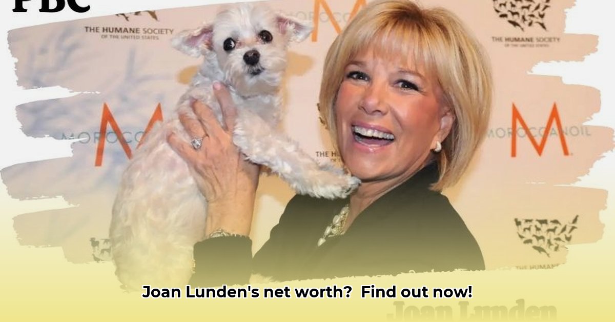 net-worth-of-joan-lunden